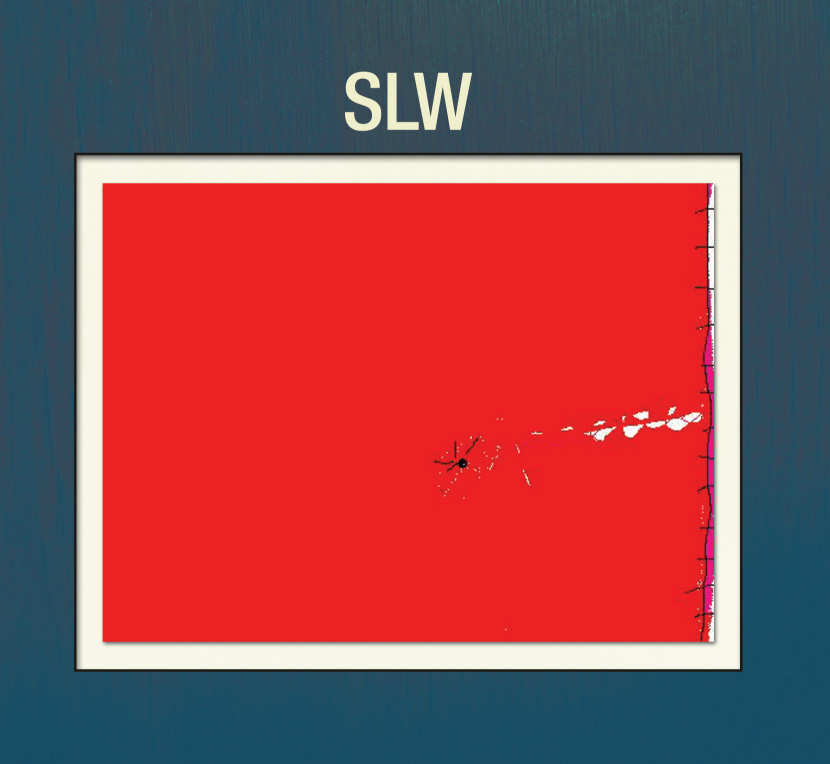 SLW - Cover